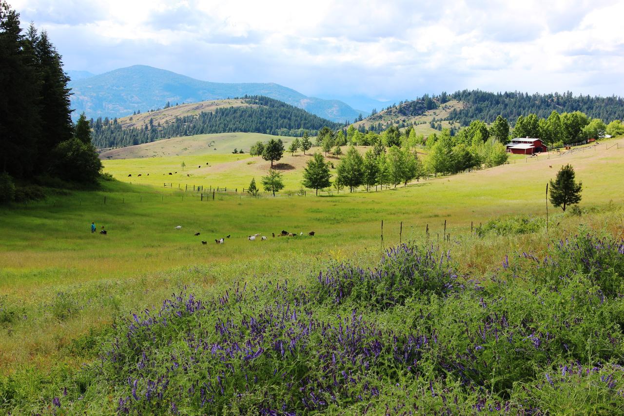Pleasant Valley Rice Екстериор снимка